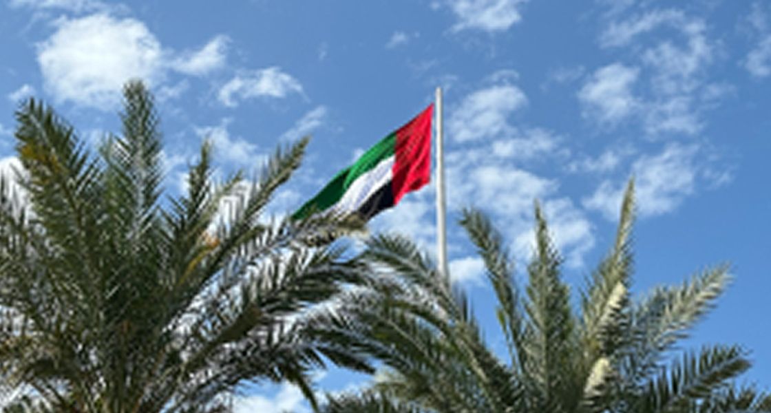 Understanding Insurance Regulations in the UAE